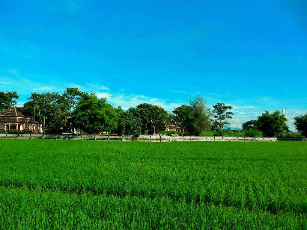 Palm Spa Village Resort Mae Rim Eksteriør bilde