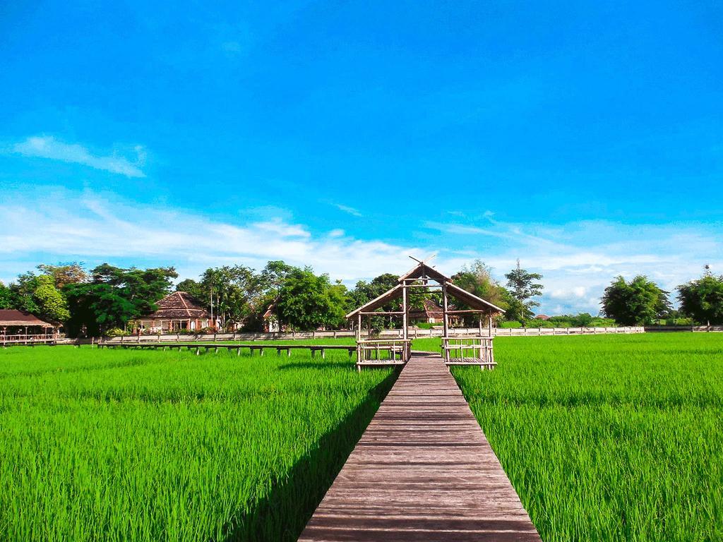 Palm Spa Village Resort Mae Rim Eksteriør bilde