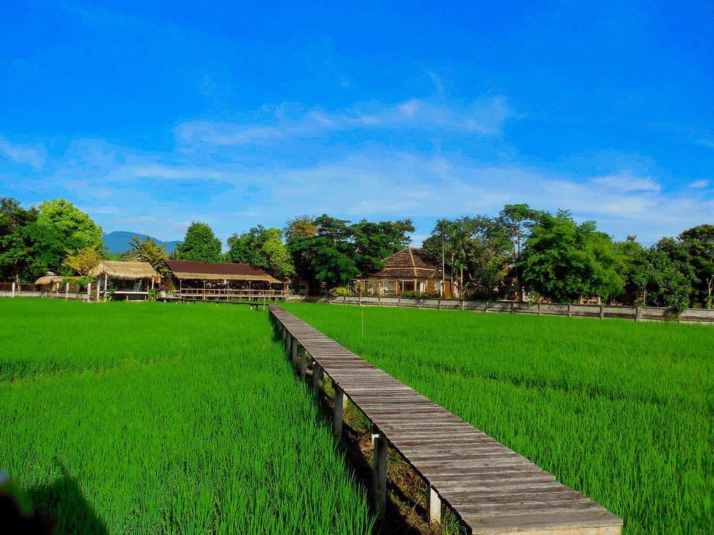 Palm Spa Village Resort Mae Rim Eksteriør bilde